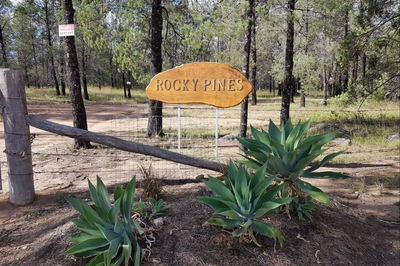 Rocky Pines